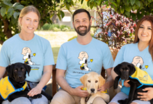 Top Therapy Dog T-Shirts That Celebrate Your Canine Companion in Style