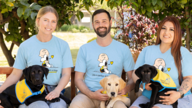 Top Therapy Dog T-Shirts That Celebrate Your Canine Companion in Style