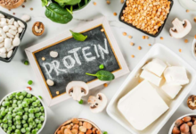 Vegan Protein: Benefits, Uses and How to Choose It
