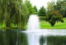 How Kasco Fountains Contribute to Better Water Quality and Ecosystem Health
