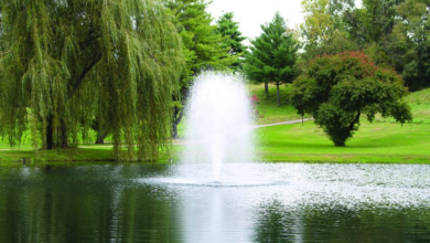How Kasco Fountains Contribute to Better Water Quality and Ecosystem Health