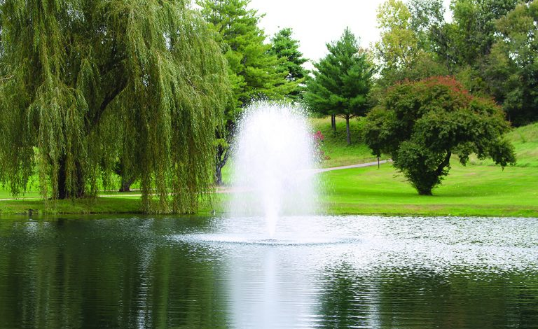 How Kasco Fountains Contribute to Better Water Quality and Ecosystem Health