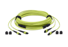 Understanding the Role of 24F MTP Trunk Cable in High-Speed Networks